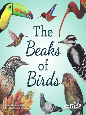 cover image of The Beaks of Birds